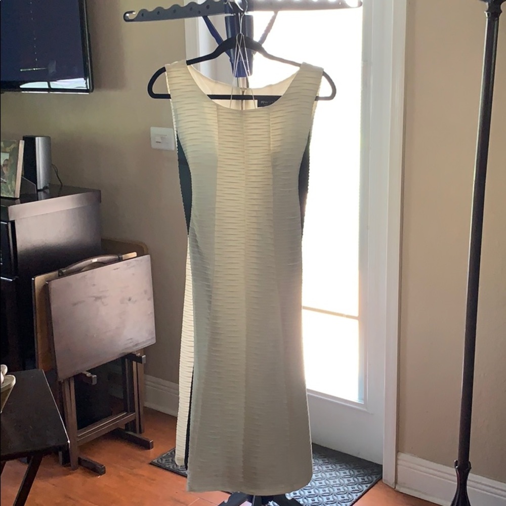 Plus size black and white sheath dress.